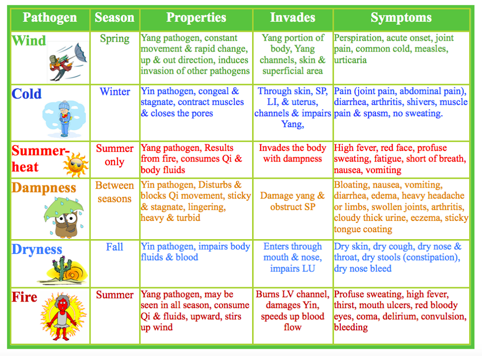 TCM Diagnosis Made Easy The Causes of Diseases AcuPro Academy