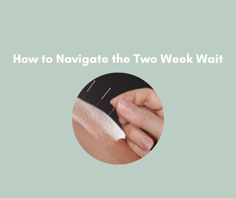 How to Navigate the Two Week Wait Acupuncture Pregnancy Clinic