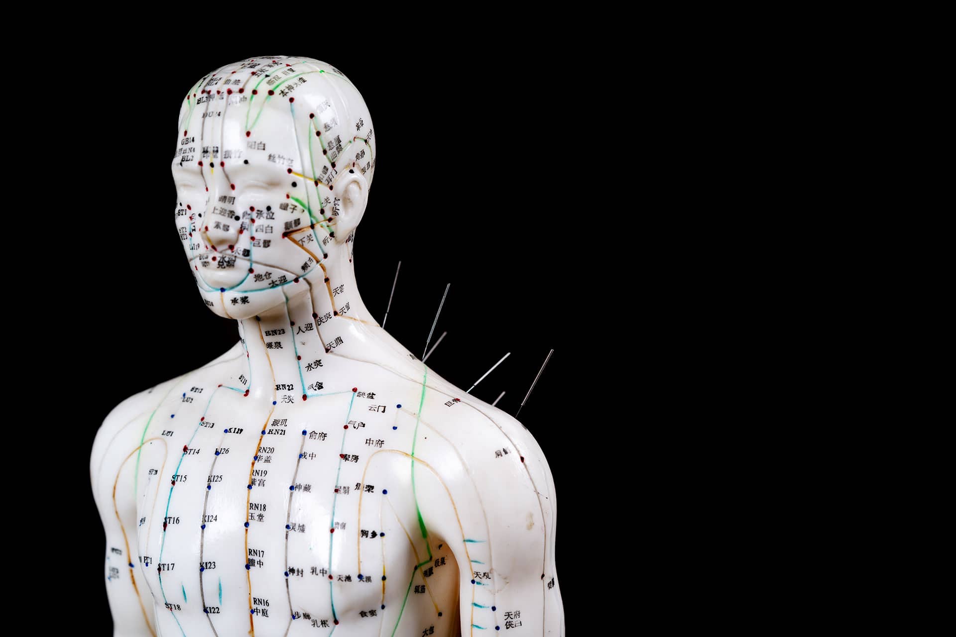 AAHW acupuncture school in Minnesota Master and Doctorate degrees in Acupuncture