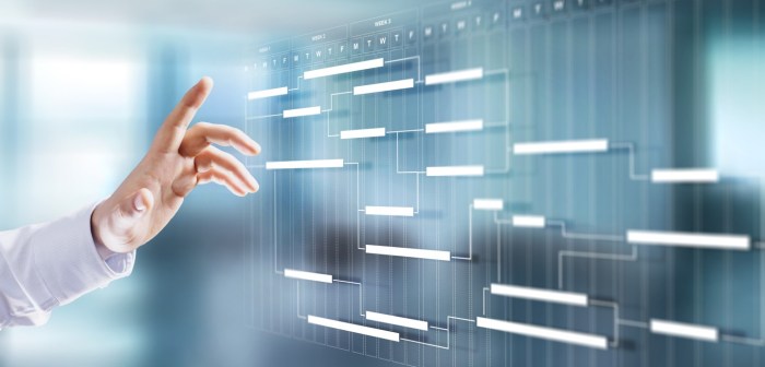 Project Management Timeline For Software Development Plan Project Management Timeline For Software Development Plan