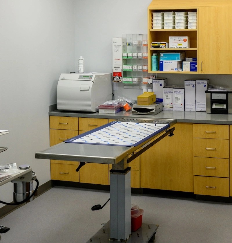 Beavercreek Urgent Care Vet AcutePet