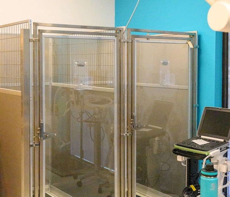 Beavercreek Urgent Care Vet AcutePet