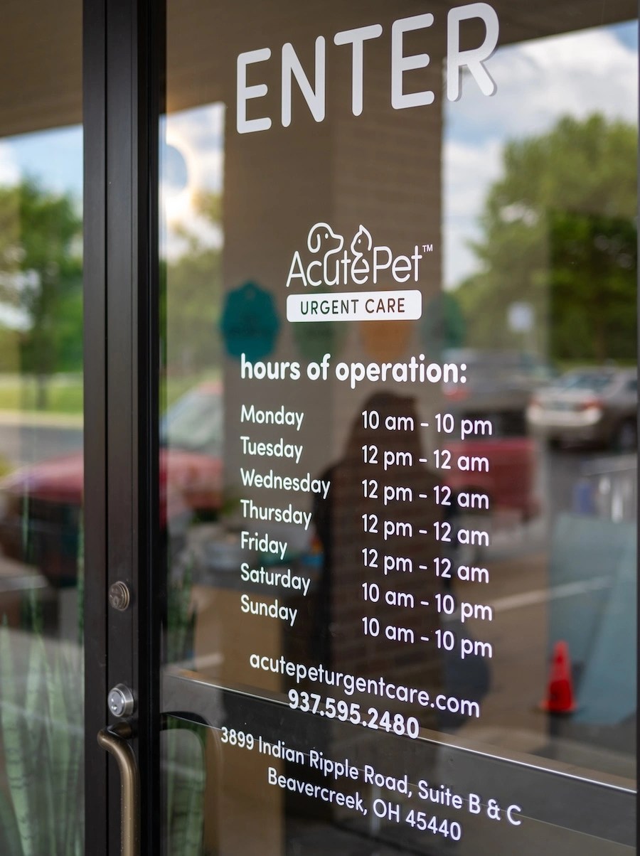 Beavercreek Urgent Care Vet AcutePet