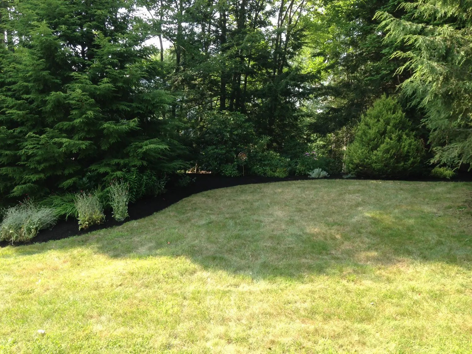 Types of Cool Season Grass for Maine Lawns AC Yard Services