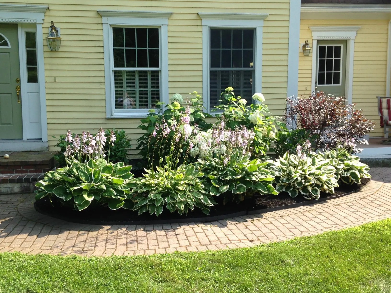 You can plant lupines either by sowing seeds or by getting permission from a. Spring Planting In Maine 11 Plants That Add Life And Color To Your Property Ac Yard Services