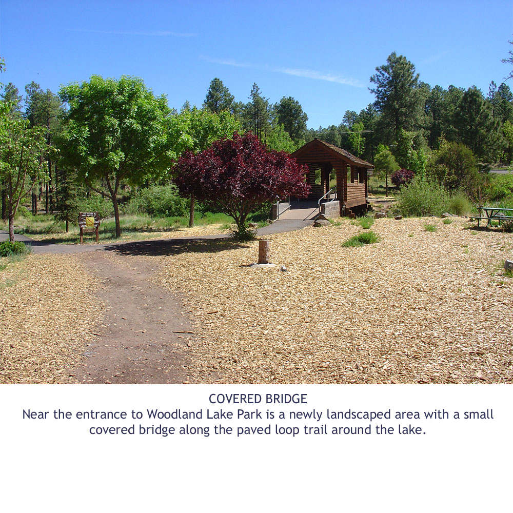 Woodland Lake Park Adair Springs Cabin