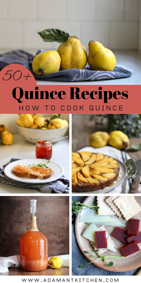 50+ Quince Recipes (How to Cook Quince) Adamant Kitchen
