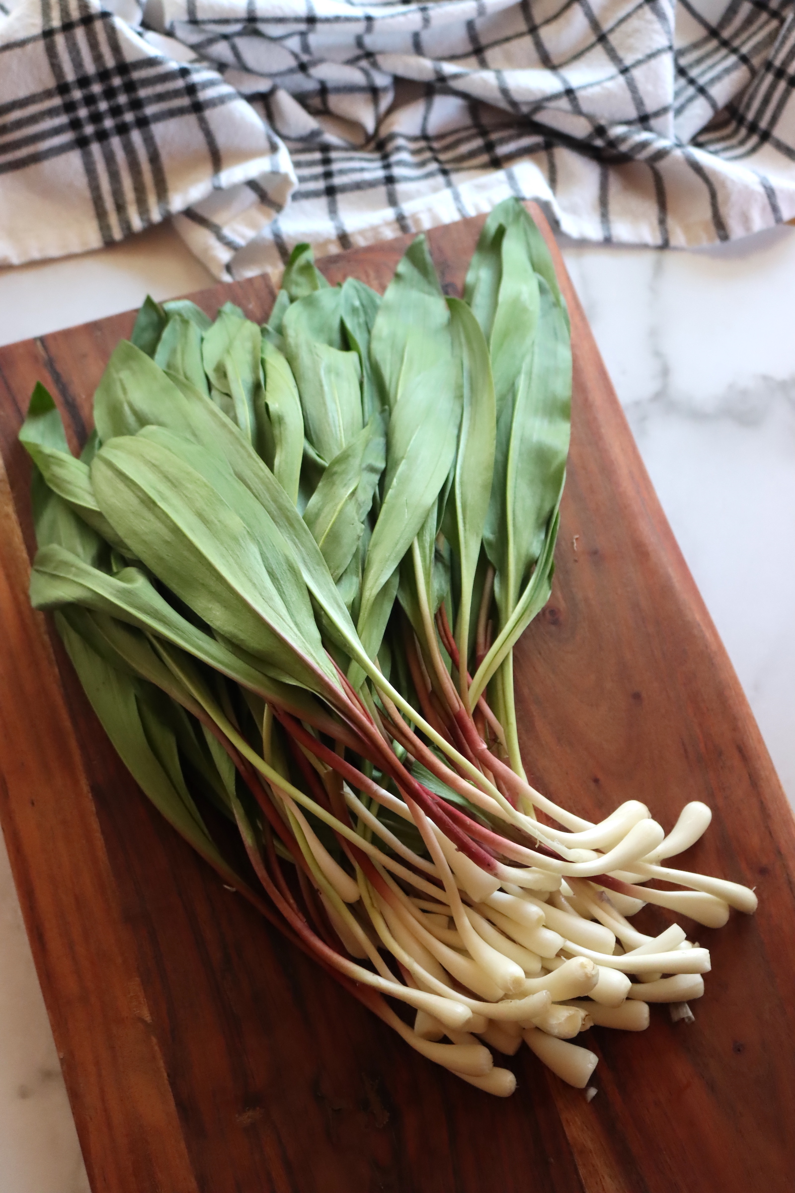 50+ Ramp Recipes (Wild Leeks) Adamant Kitchen