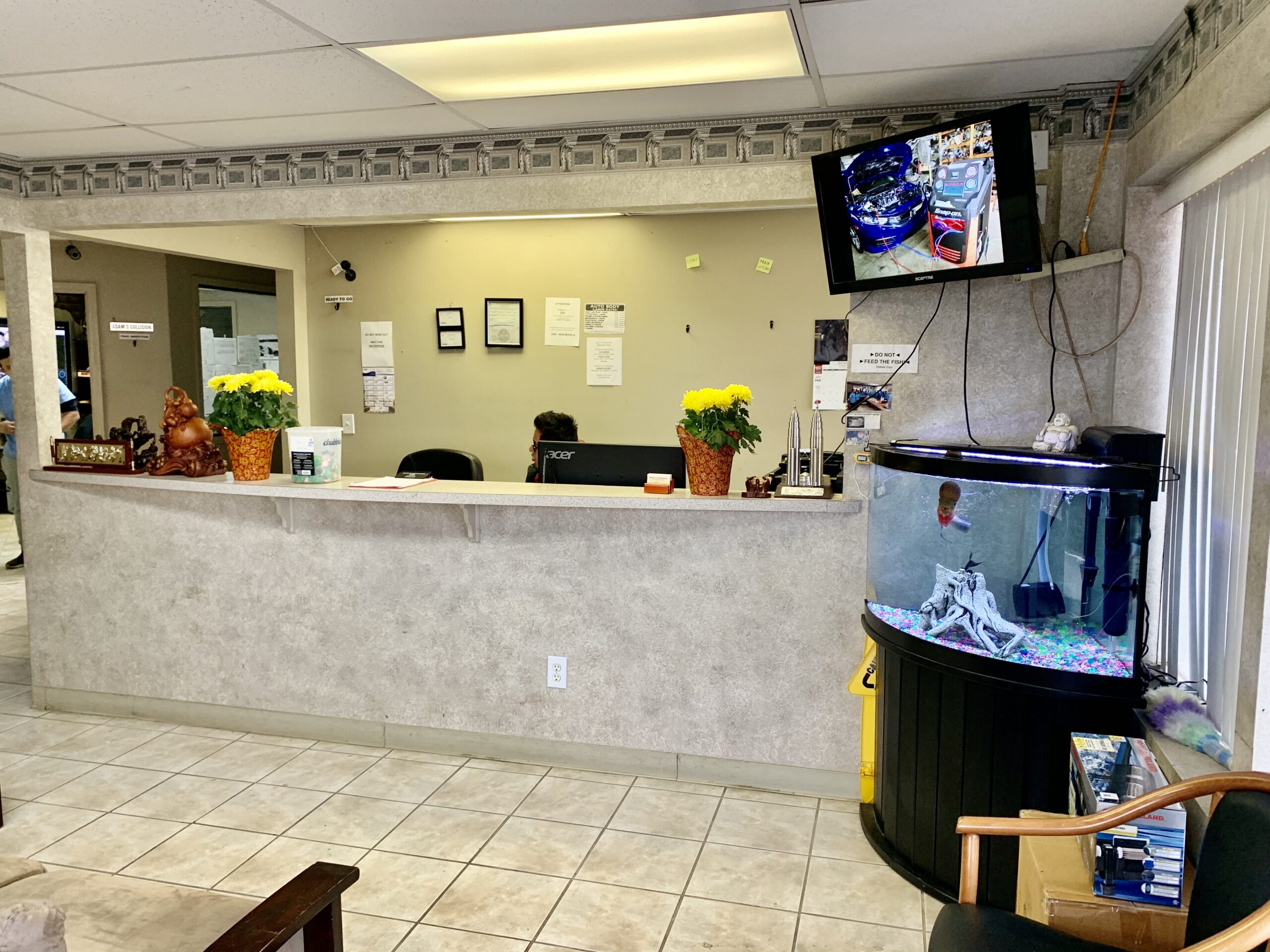 Repair Services Adam Collision