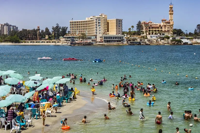 Expat taxes in Egypt in 2022 Adam Fayed