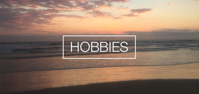 My Hobbies Interest You - Adam McLane