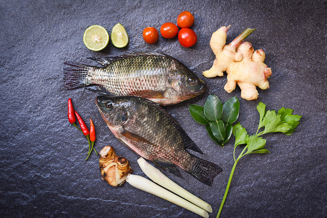 TILAPIA Adam Seafood Fresh Seafood and Fishmonger's
