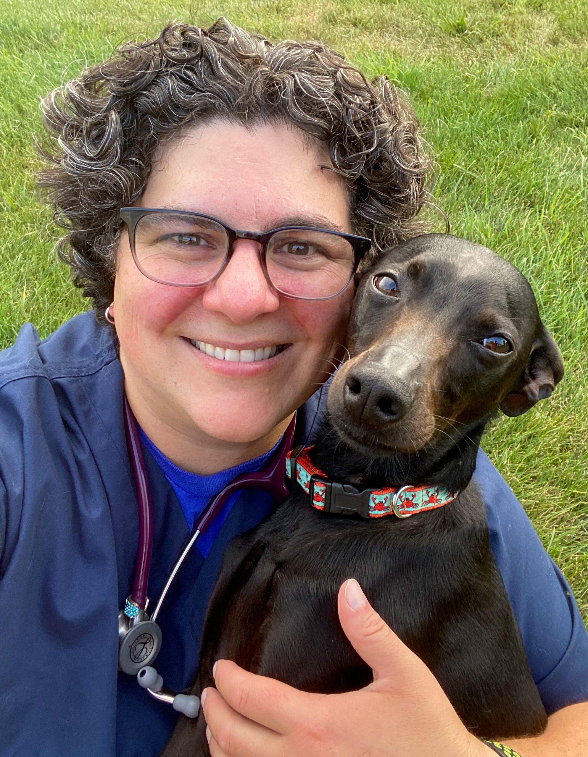 TT Adamstown Veterinary Hospital