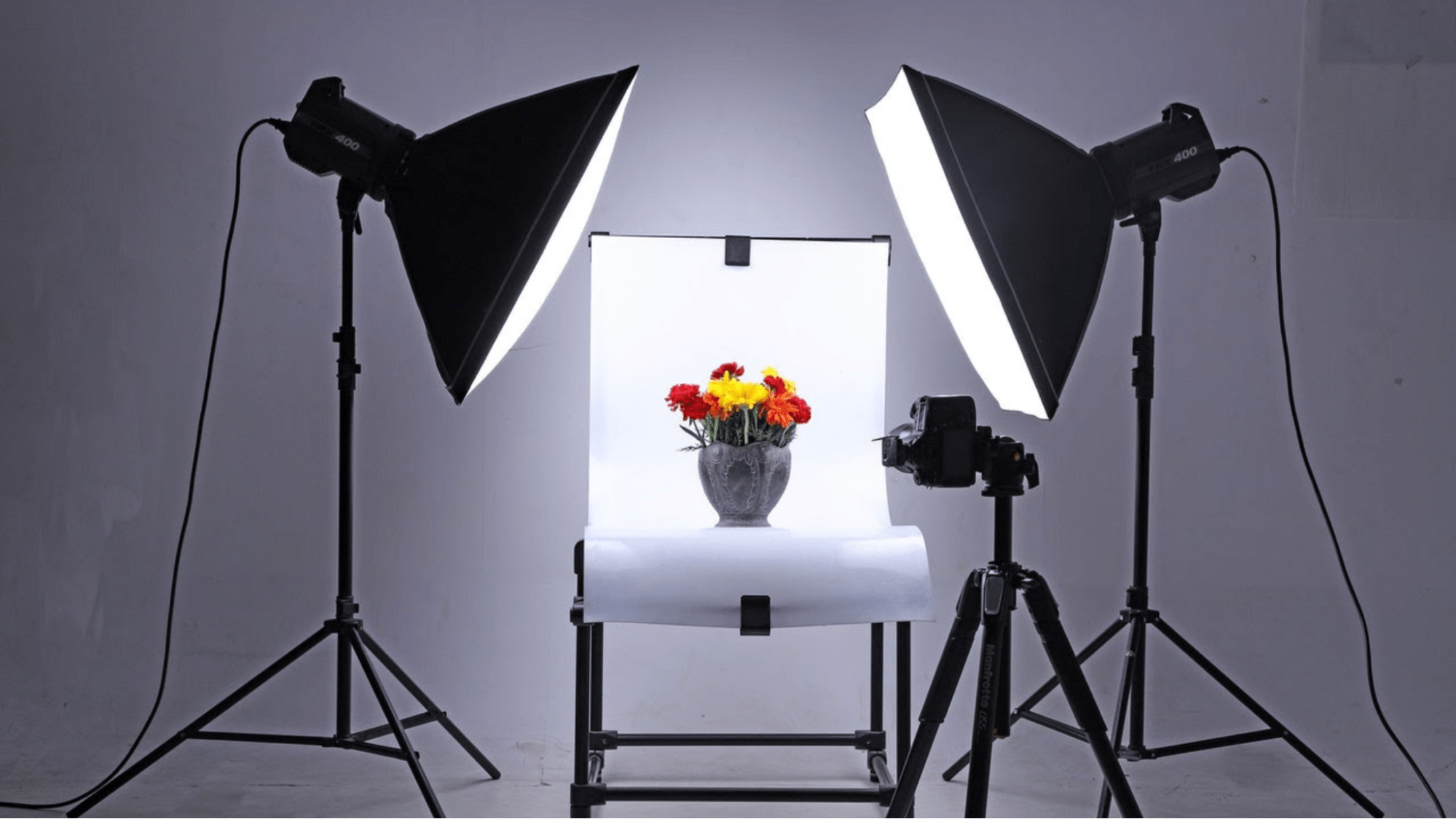 Best Lighting Equipment for Photography Lighting Setup Adam's Trail