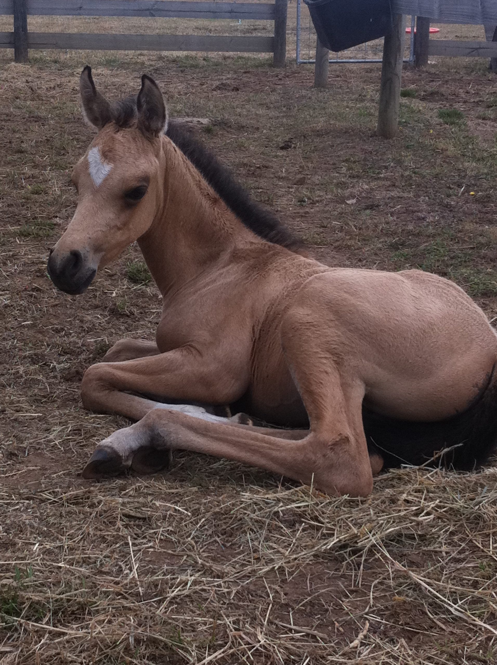 Training Exercise 2 DIGITAL Creating Confidence & Connection