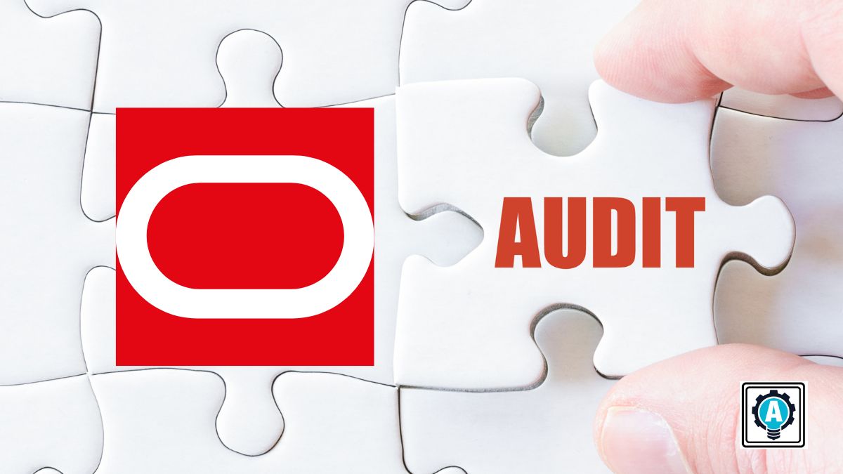 How To Use the Oracle Audit Operations Command