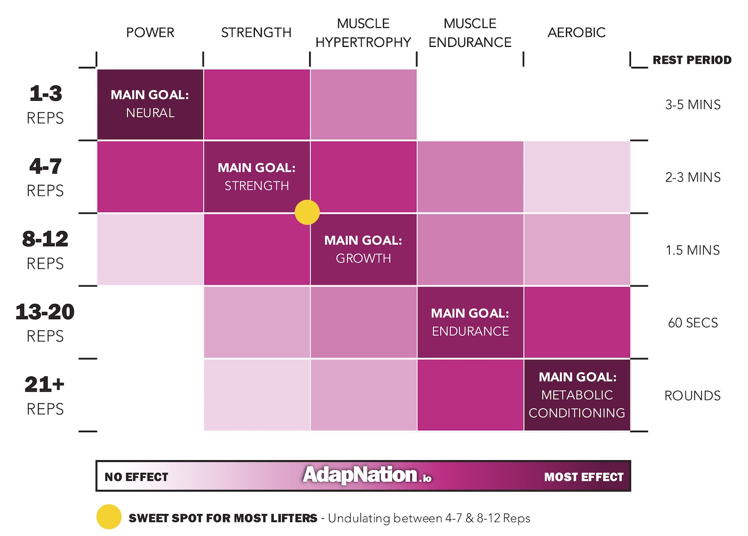 Which Rep Range Should You Use in the Gym? | AdapNation