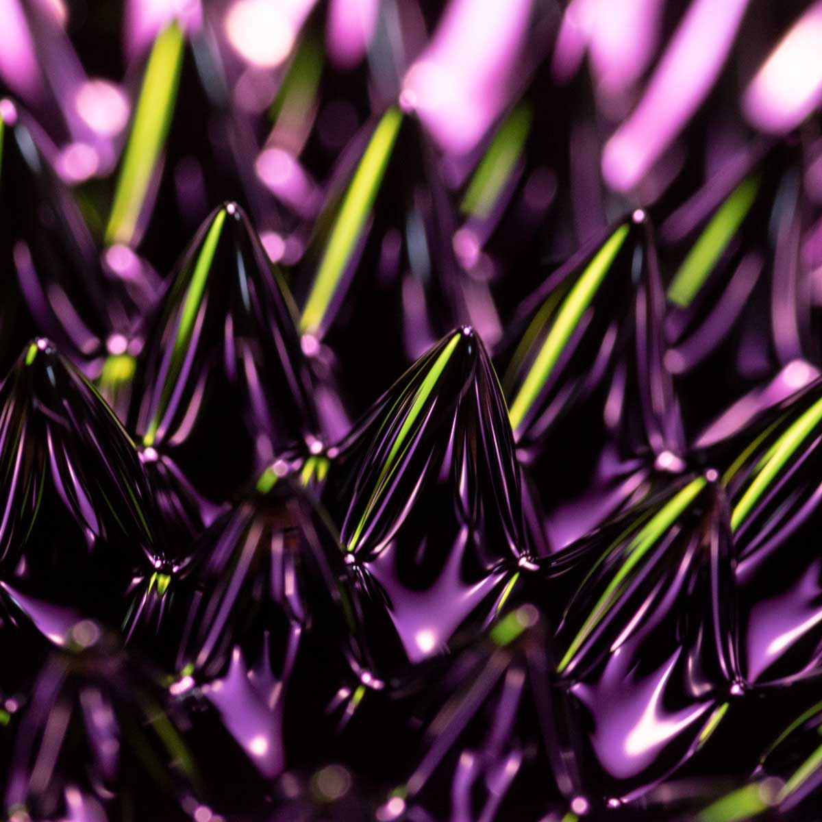 Abstract Macro Photography Tutorial