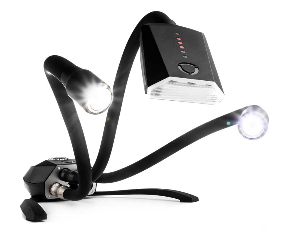 LED Macro Lighting Flexible continuous lighting for macro photography