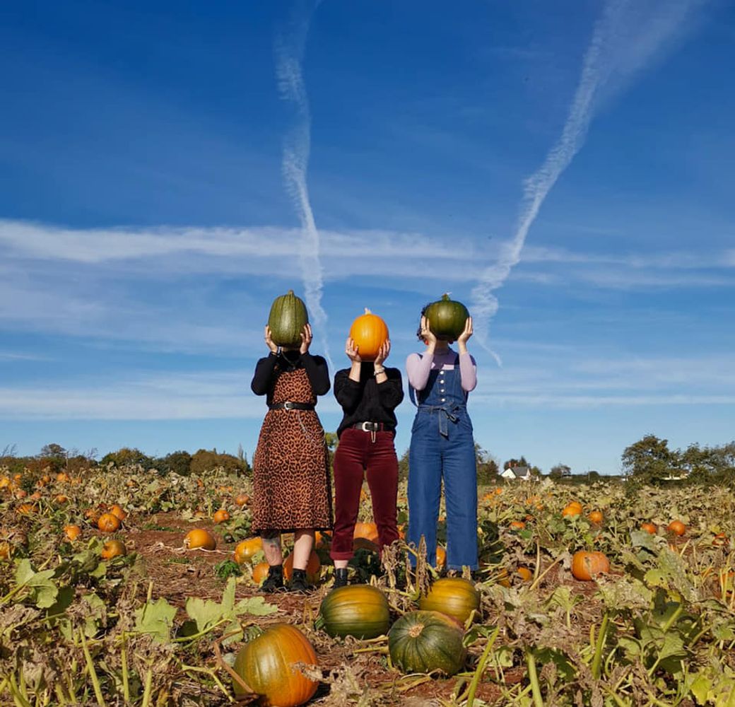 Beyonk Pumpkin Patch 2022