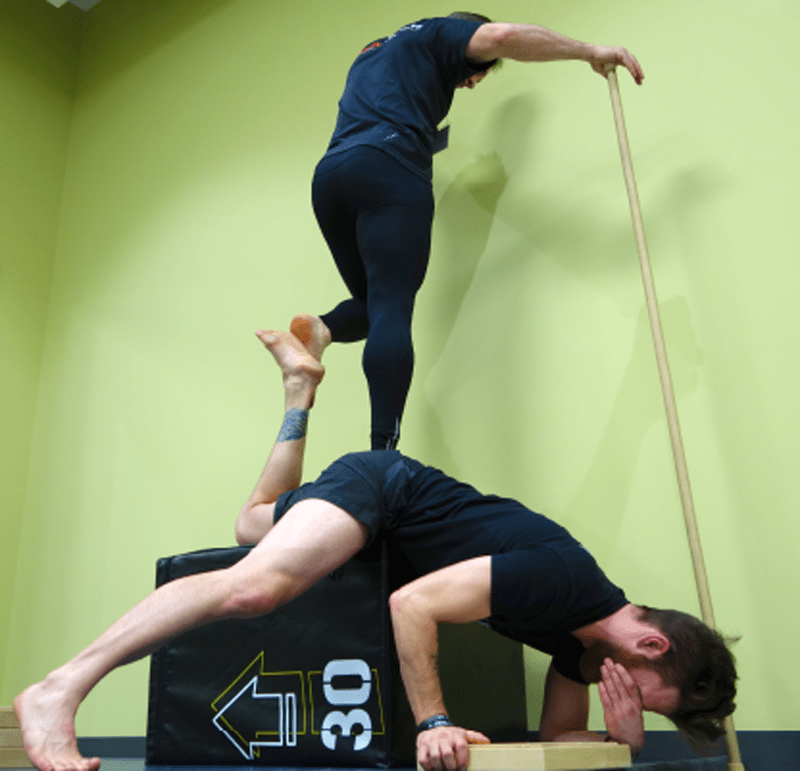 Adaptive Bodywork BioTensegrity Movement Optimization