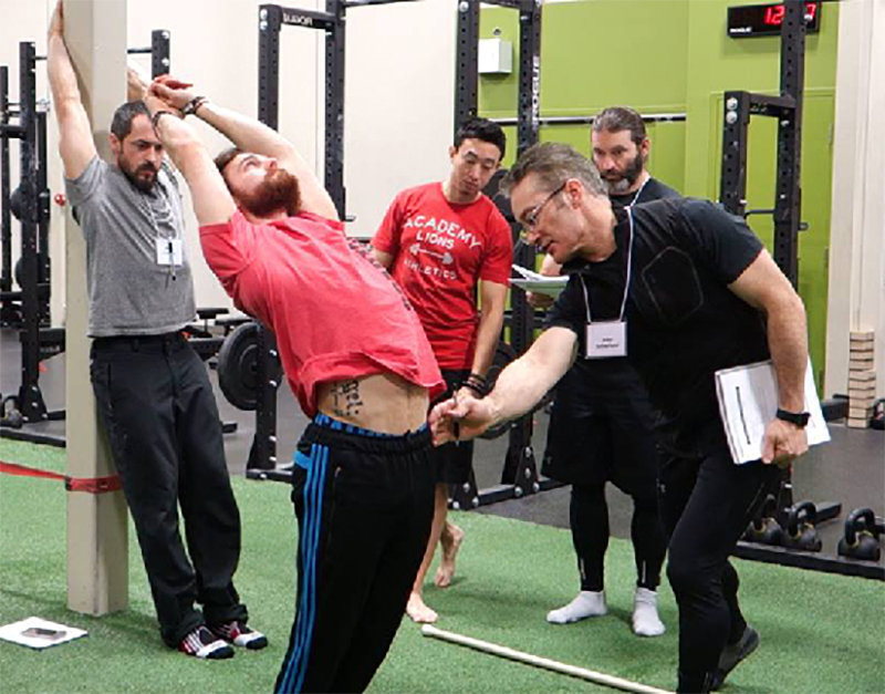 Adaptive Bodywork A Path to Improved Health and Wellbeing