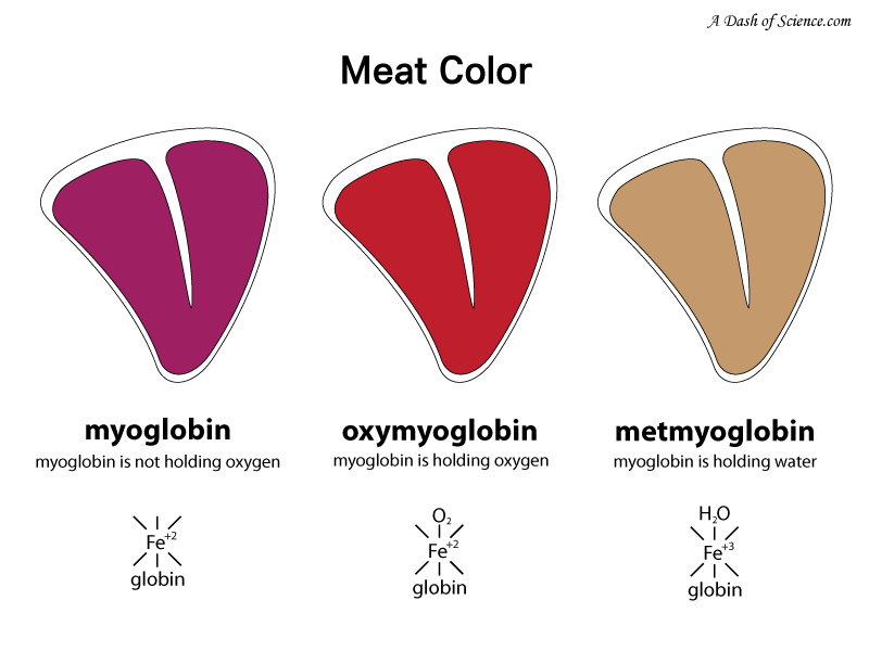 Why Does Meat Turn Brown? A Dash of Science