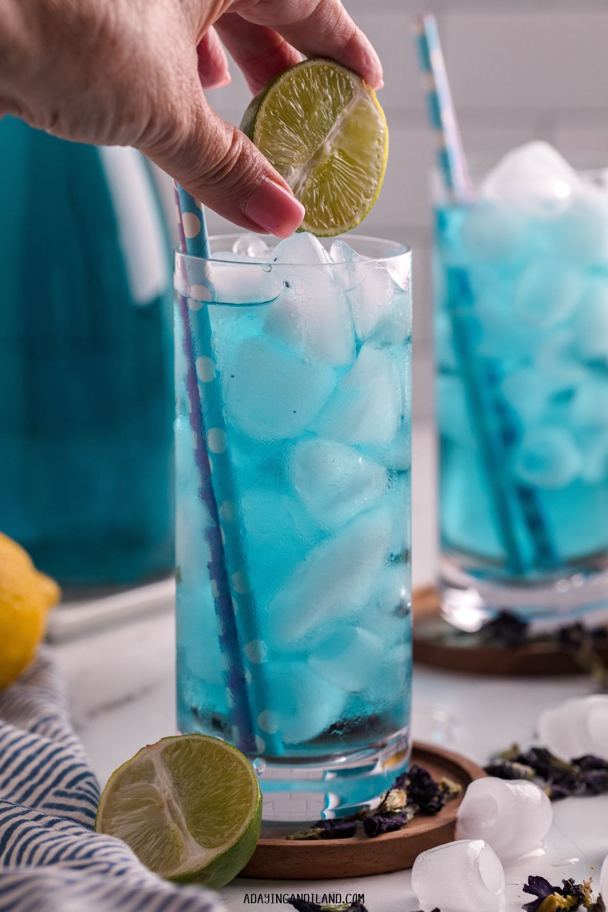 Butterfly Pea Flower Tea Benefits A Day In Candiland