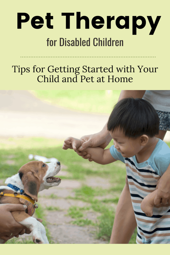 How Does Pet Therapy Work? Pet Therapy for Disabled Children A Day In