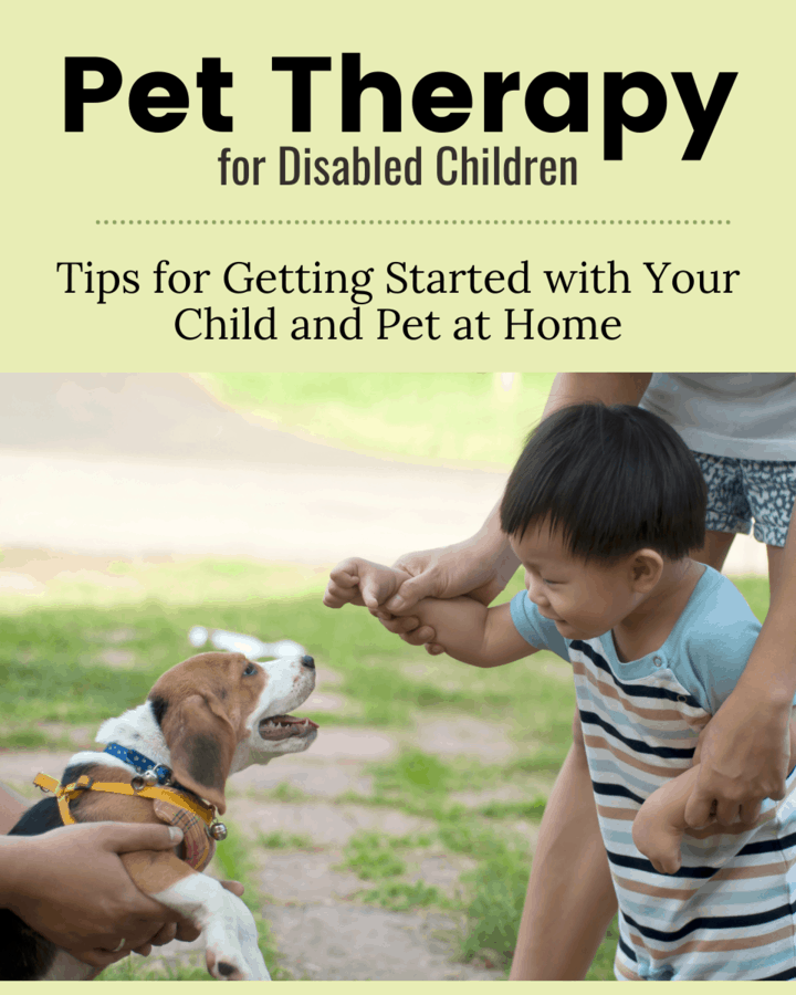 How To Use Your Dog As A Therapy Dog