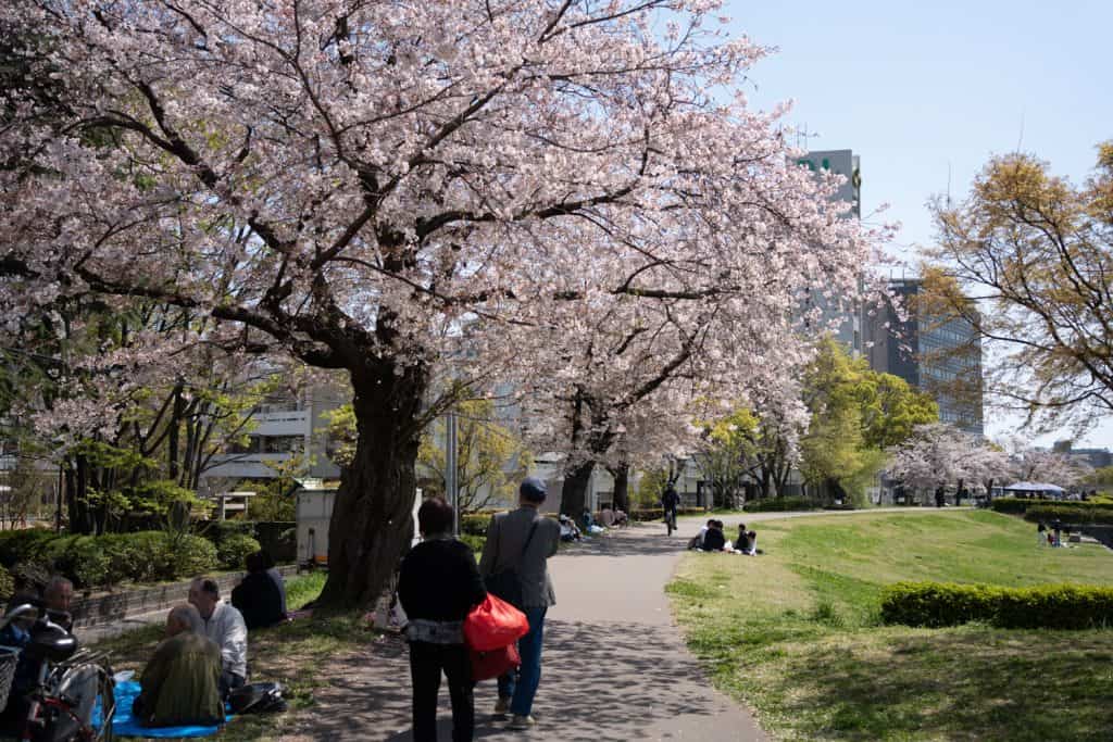 Why are Flights to Japan so Expensive? (and 9 Ways to Get Them Cheaper!) A Day Of Zen