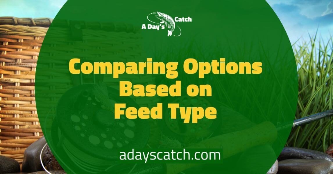 Fly Fishing VS Regular Fishing A Day's Catch