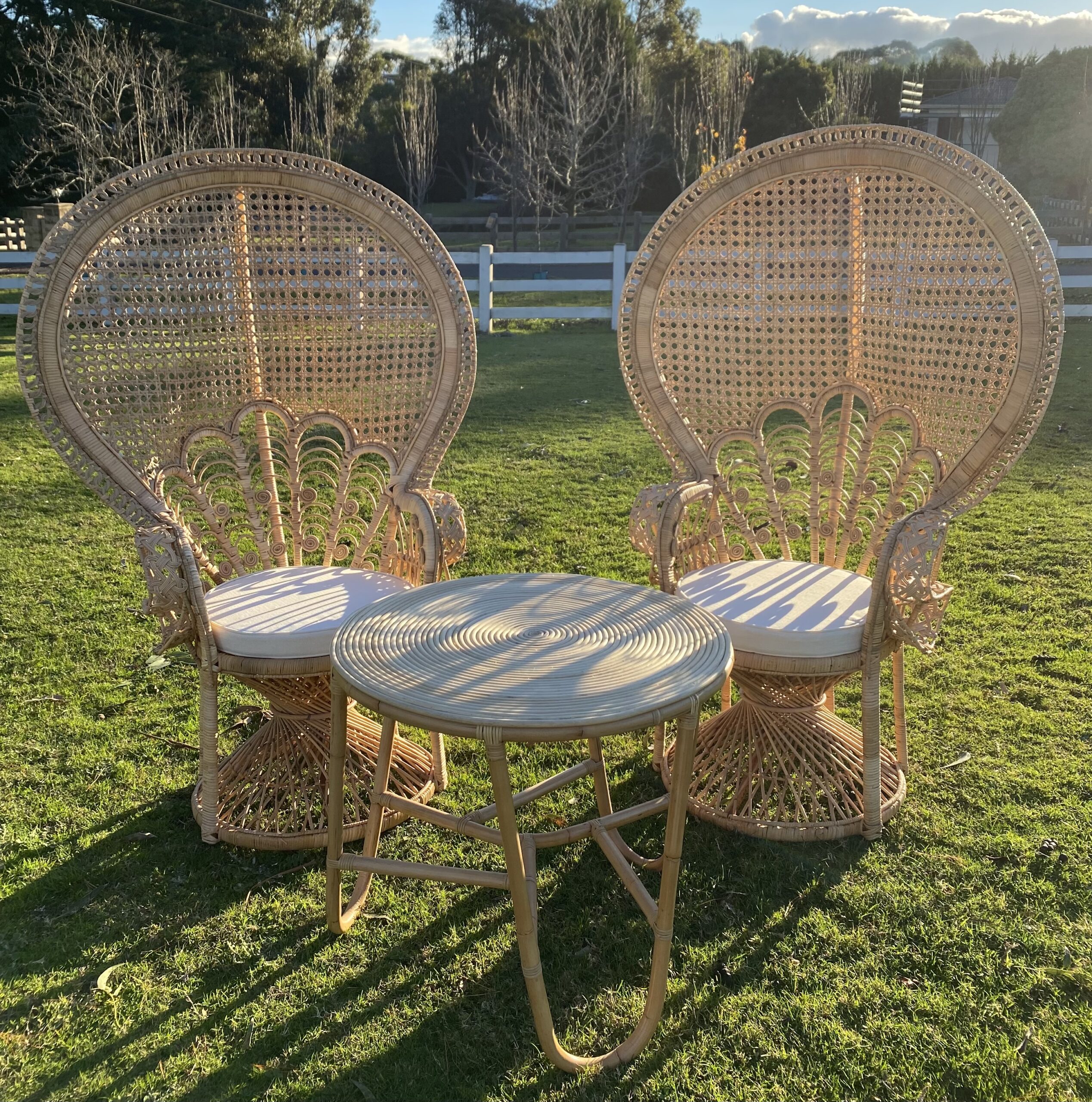 Natural Rattan Peacock Chair A Day to Remember Event Hire