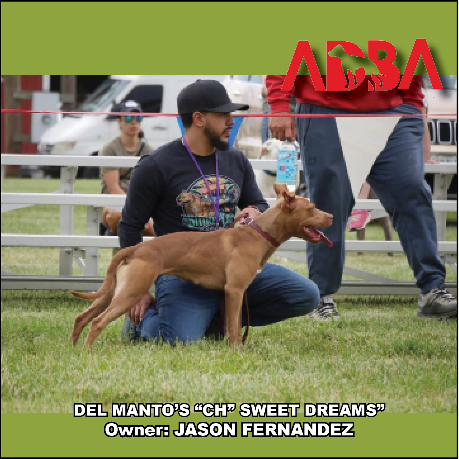 American Dog Breeders Association Champion of the Week