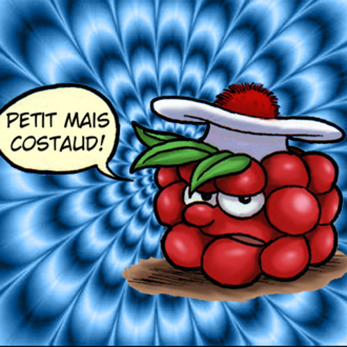 L’Etat, les Partis, et les Antis La Poule et l’Œuf. Ad Case