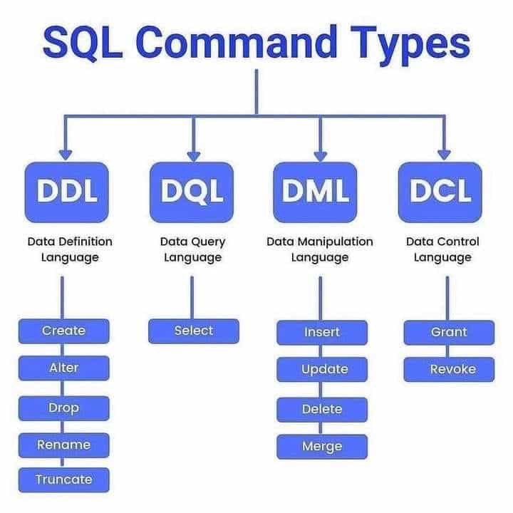 What are different types of SQL commands?