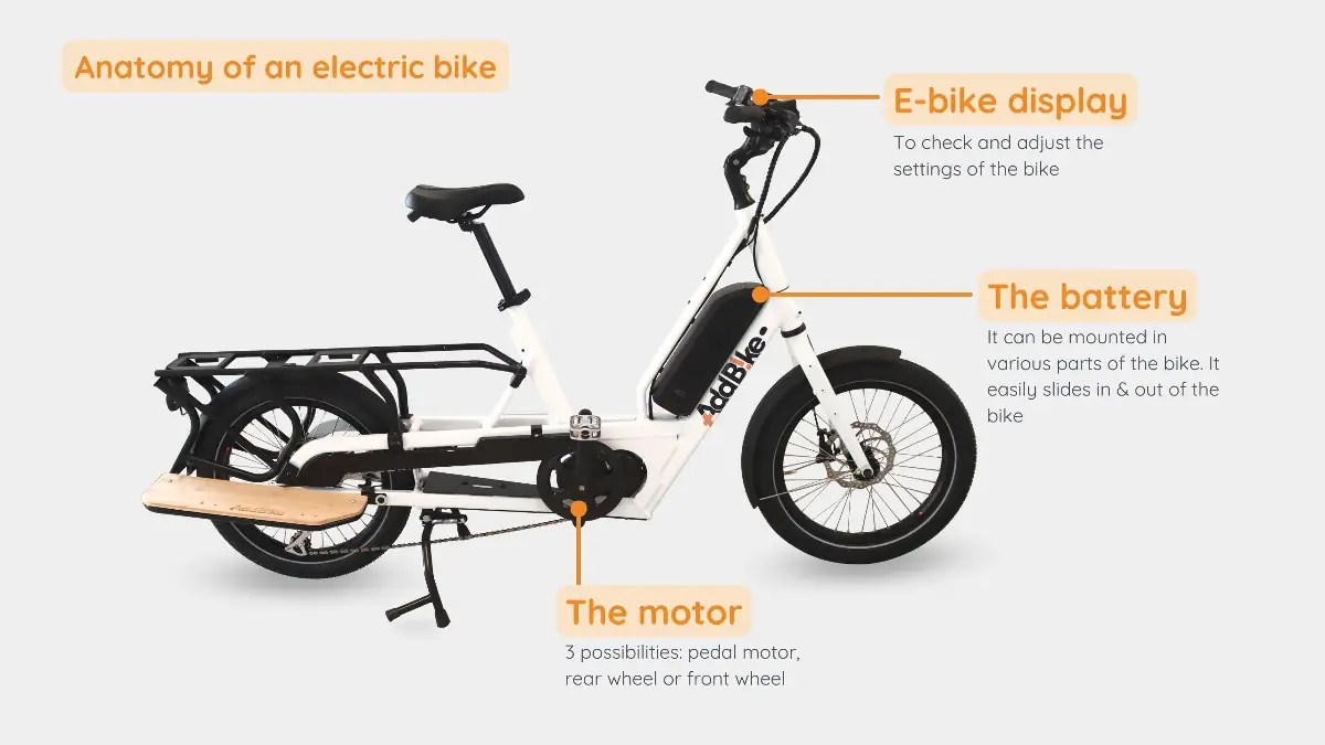 Assist ebike 101 everything you need to know on electric bikes