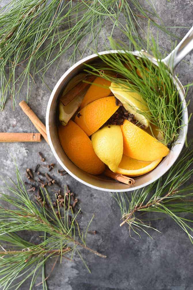 Pine Citrus Potpourri Add a Pinch
