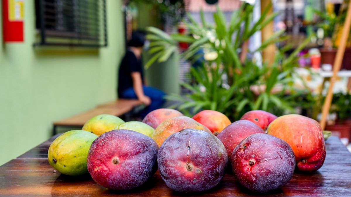 Exploring the Top 10 Intriguing Facts about Mangoes Added Facts