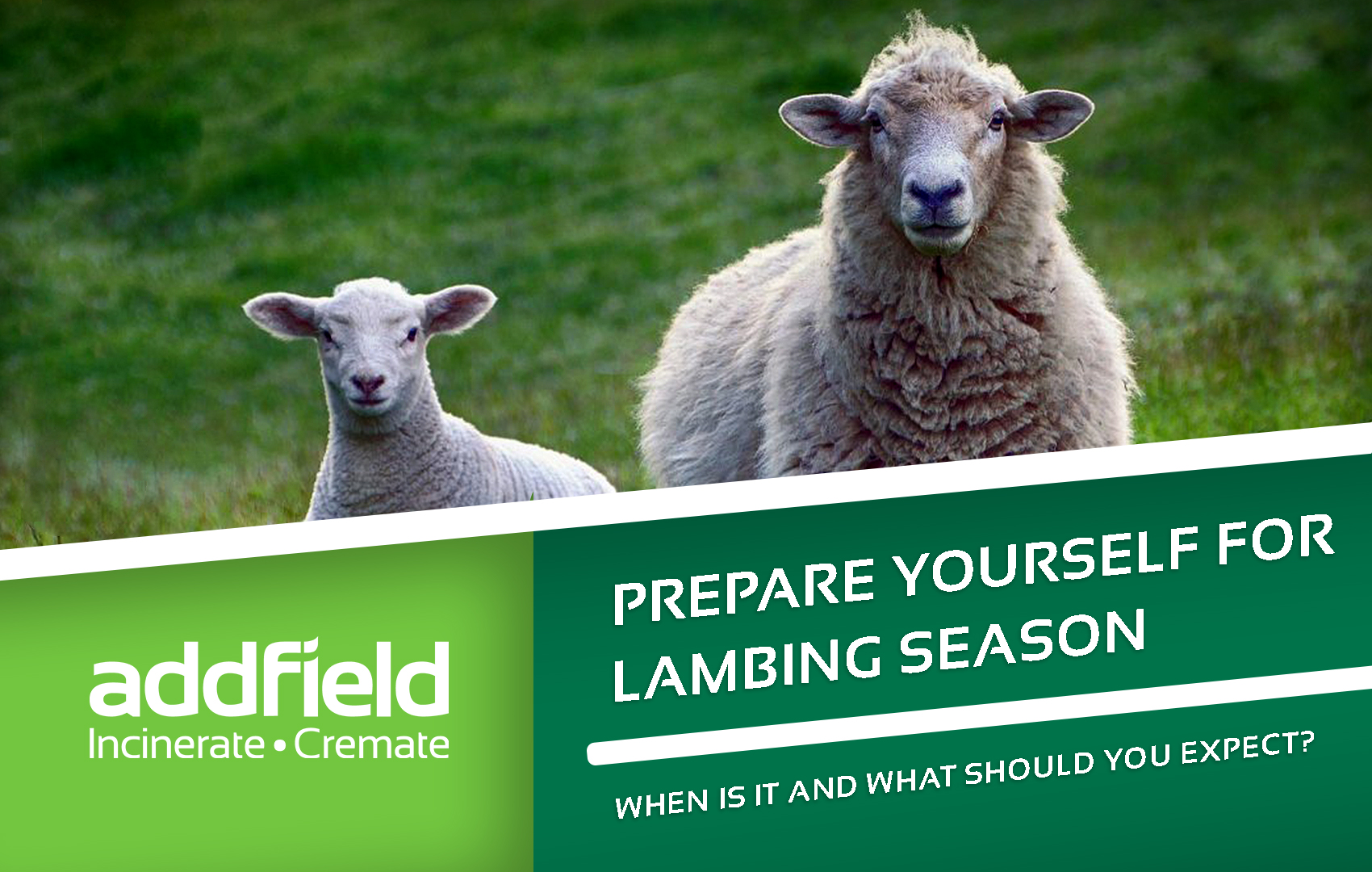Are you prepared for Lambing Season?
