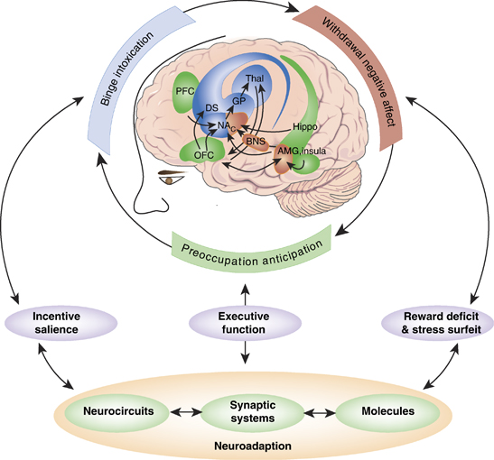 Models of Addiction Alcohol Moderation & Substance.