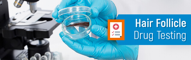 Hair Follicle Drug Test A Complete Guide + Best Tests Reviewed