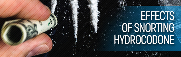Hydrocodone Why Snorting This Medication Might be Bad For You