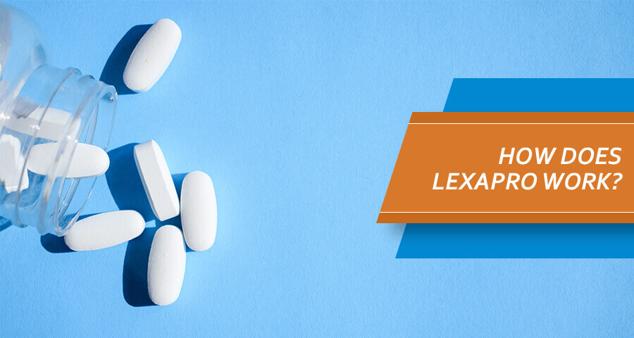 Lexapro Half-Life. How Long Does Lexapro Take To.