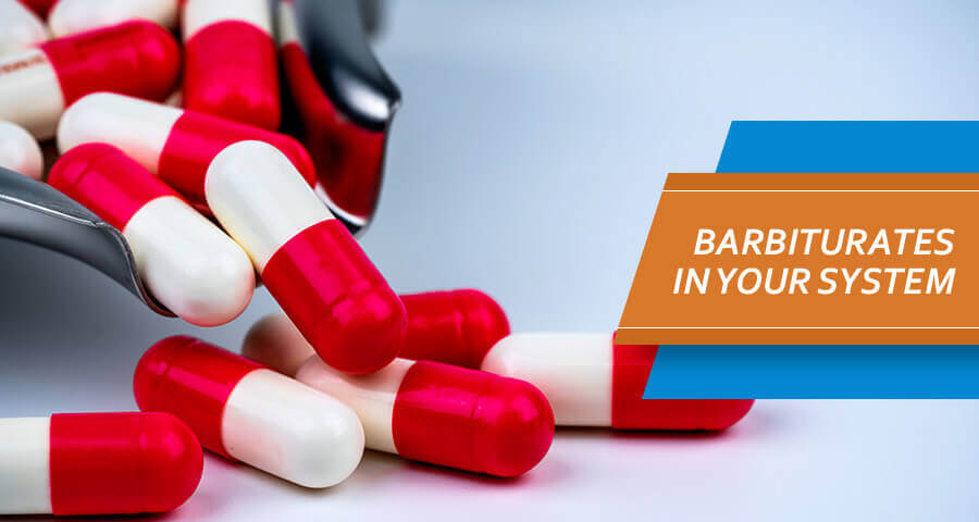 How Long Do Barbiturates Stay In Your System ridmdesign