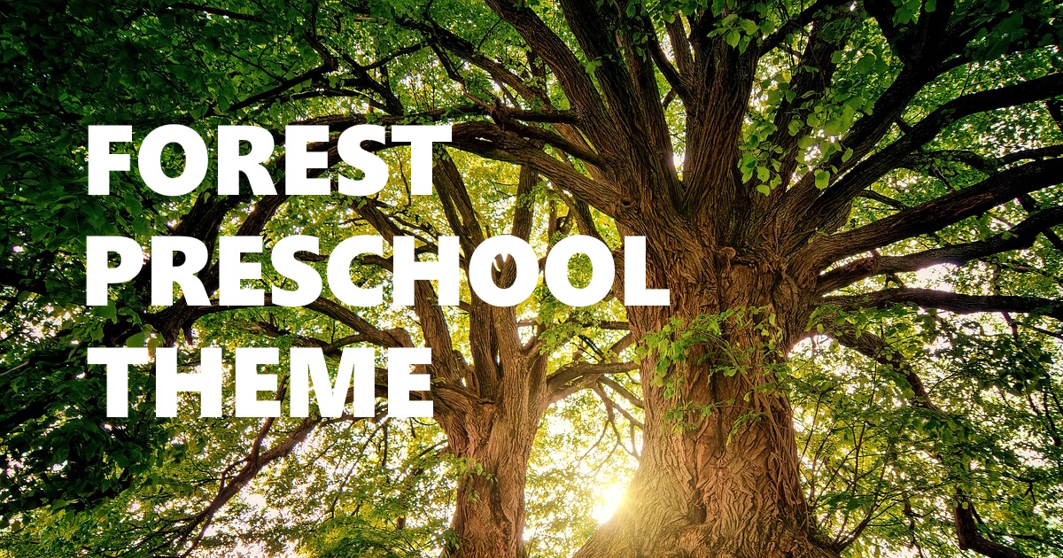 Forest Preschool Theme Addie Dwyer