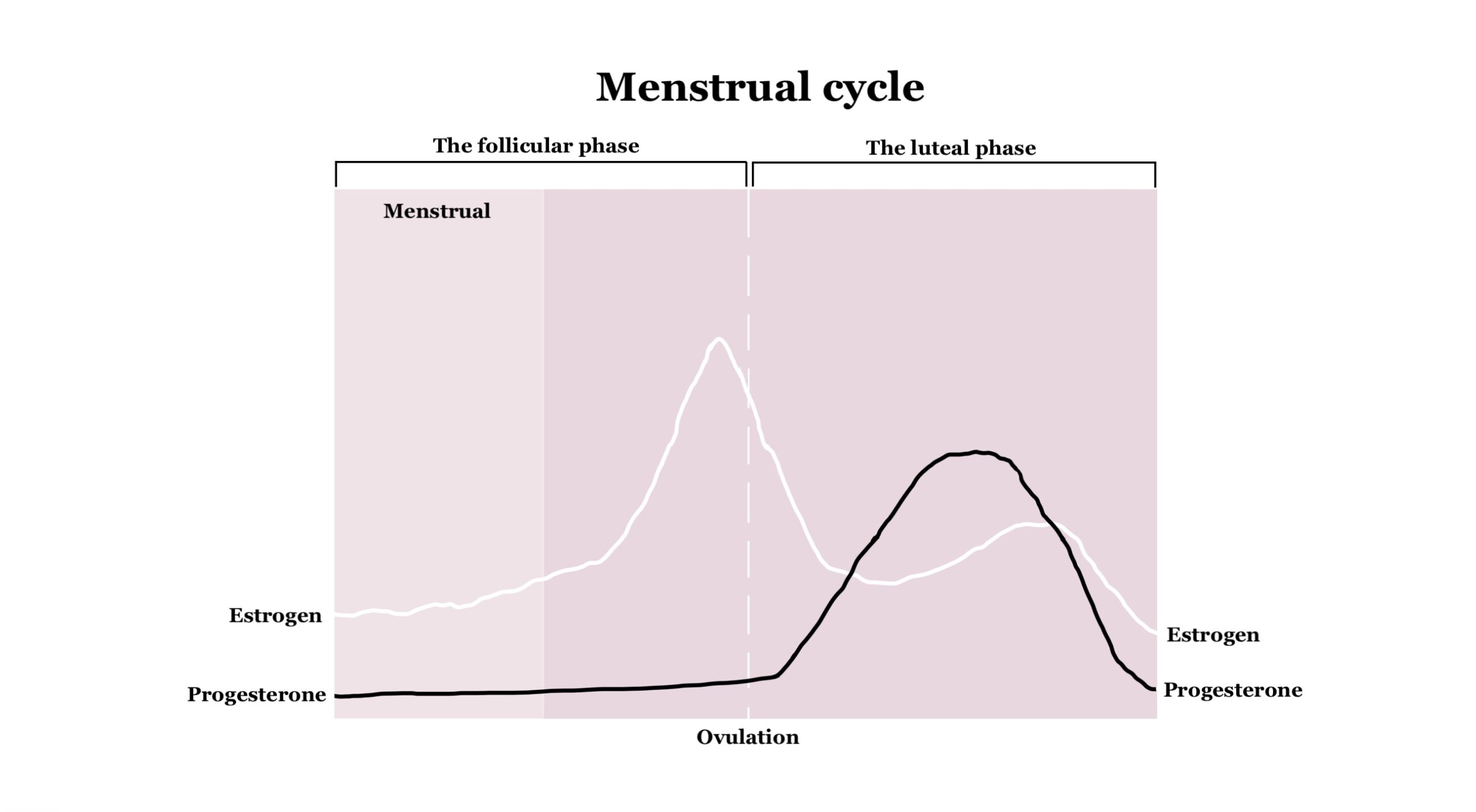 ADHD Medication Efficacy is Linked to your Menstrual Cycle! ADDspeaker