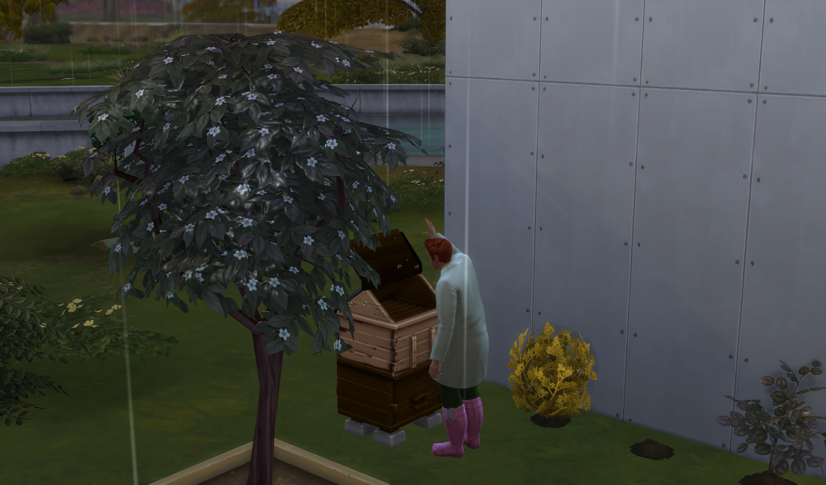 House 02 Day 11 Addy Plays Sims 4