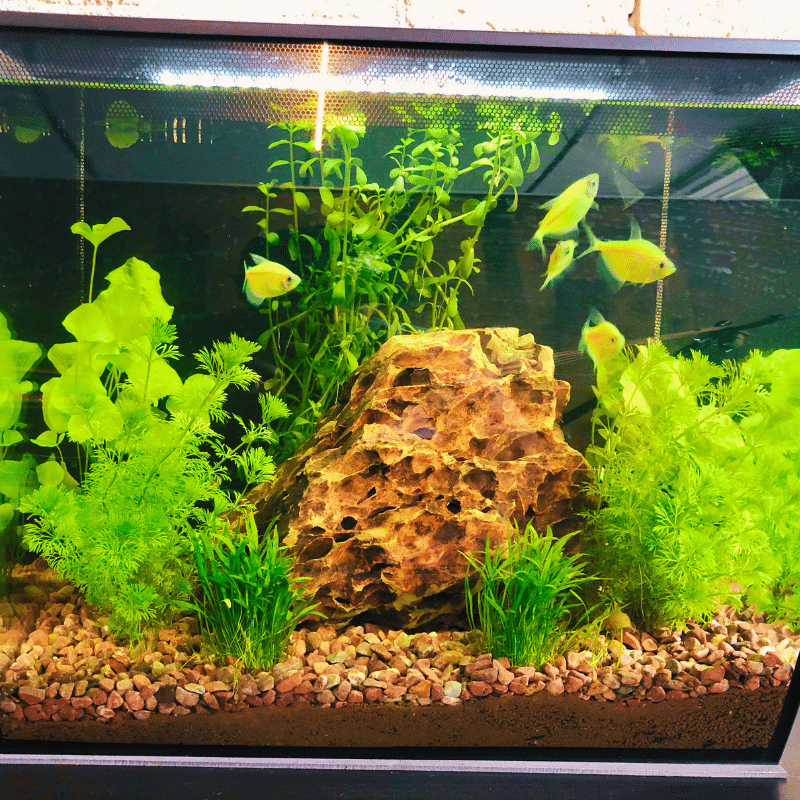 Executive Office Rentals Winnipeg, Exchange District