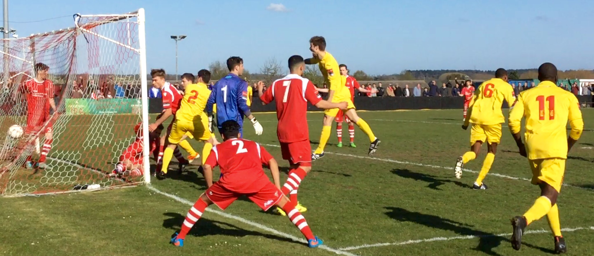 Pope is the Saviour Needham Market 2 Harlow 2 Miles from Nowhere